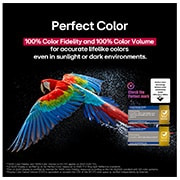 LG تلفزيون LG OLED evo AI C5 مقاس 65 بوصة بدقة 4K 144Hz ومدعوم بجهاز التحكم AI Magic remote وواجهة webOS25 طراز عام 2025 , ببغاء ملون بدقة عالية للغاية على خلفية سوداء. يتم تعليق قطرات الماء في الهواء المحيط بها. تعرض الصورة اللون المثالي حيث أن كل درجة لون مختلفة على جسم الببغاء نابضة بالحياة. تظهر شهادات شعار مختلفة من , OLED65C56LA, thumbnail 8